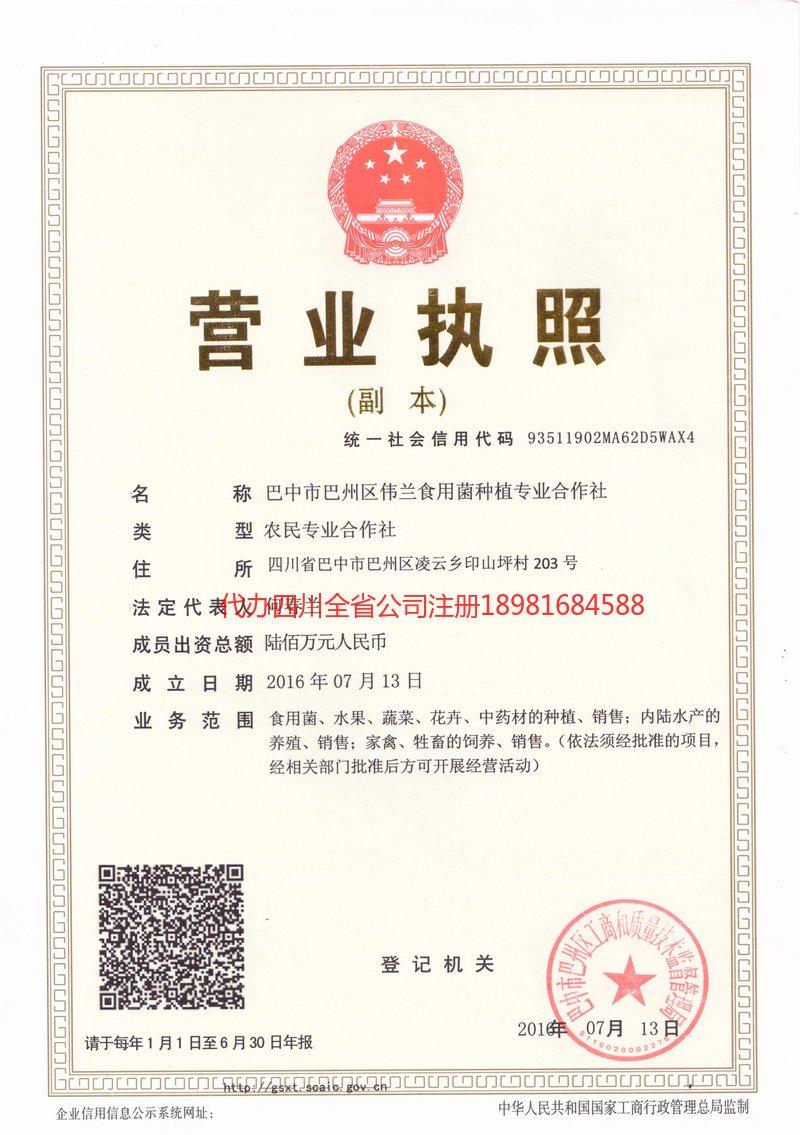 景德镇景德镇伟兰食用菌种植专业合作社